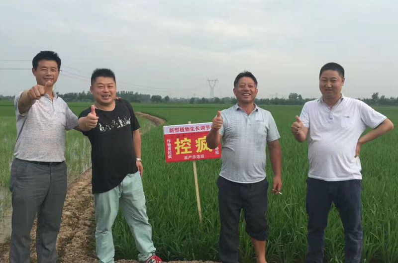 公安縣控瘋（fēng）使用效果交流會（huì）(圖5)