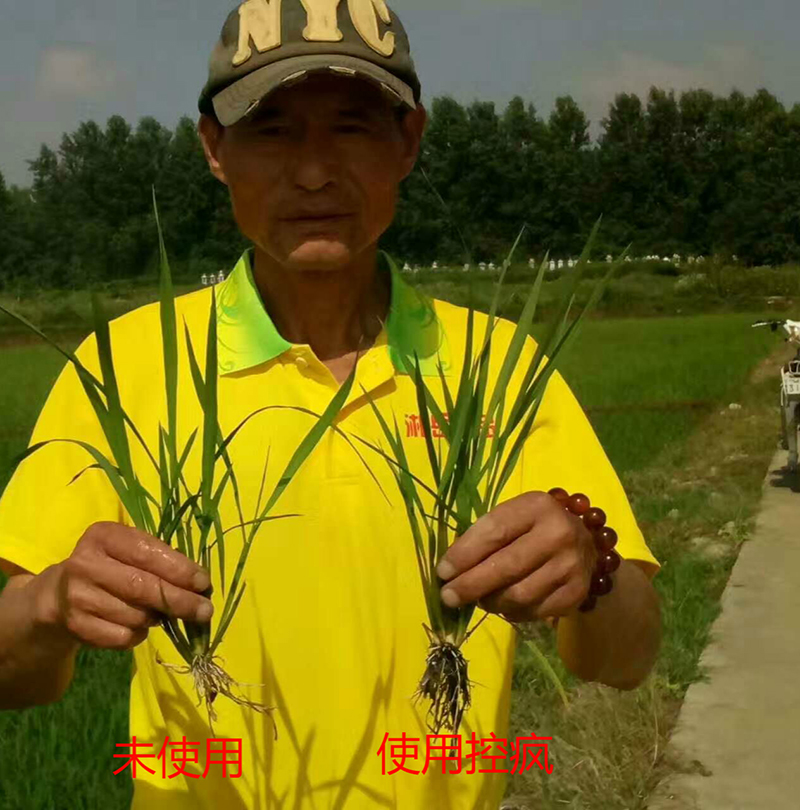 公安縣（xiàn）控瘋使用效果交流會(圖4)