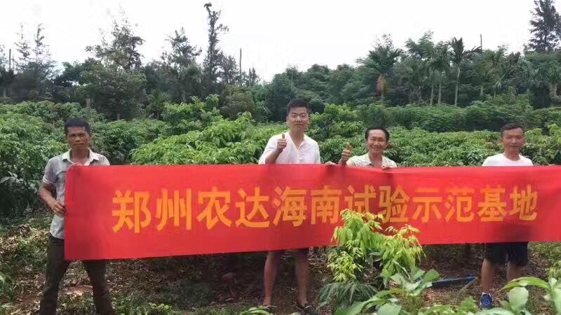 鄭州91抖阴下载_生（shēng）化高山青（qīng）海南VIP客戶答謝會(圖3)