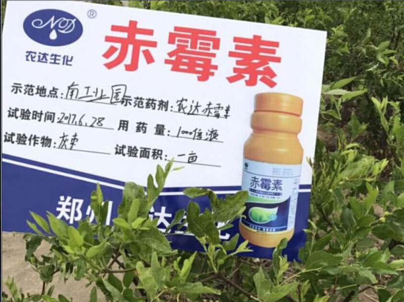 91抖阴下载_赤黴素在灰棗上的坐果試驗(圖2)
