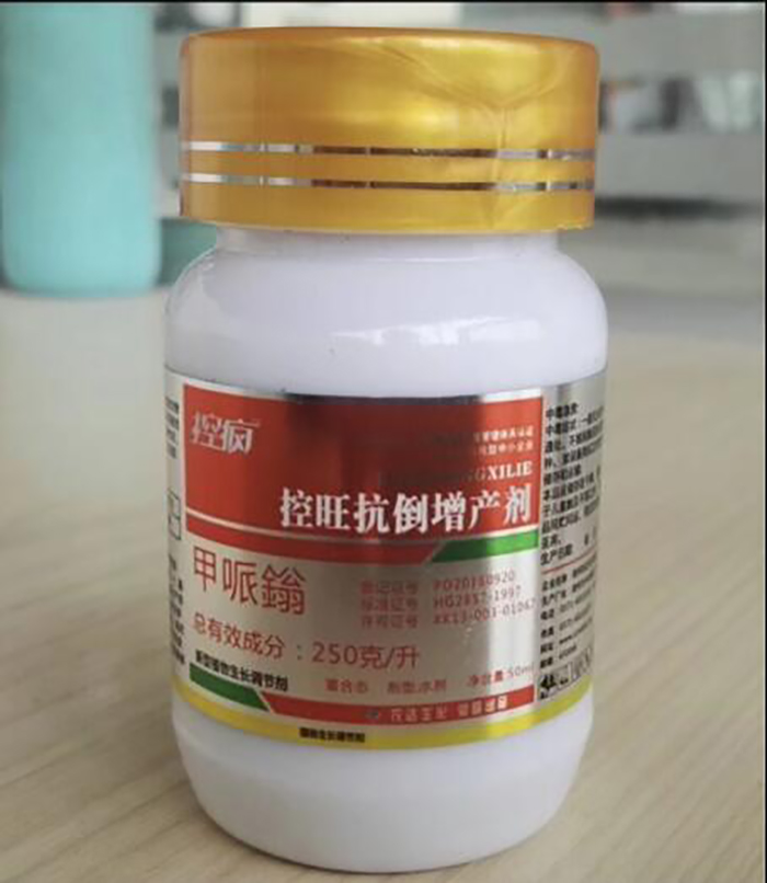 淺談控瘋在棉花上的表現及棉（mián）花化（huà）控技術要點(圖4)