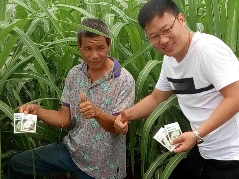 翁源地天泰農資“農（nóng）達20%赤黴酸可溶性粉劑”上市（shì）會(圖3)