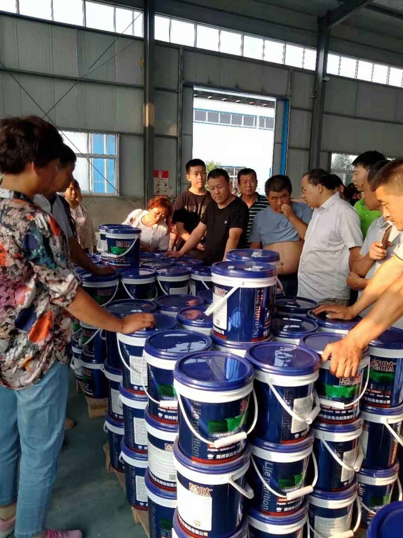 河北衡水饒陽縣農資（zī）精英到訪91抖阴下载_生化孟州園區(圖4)