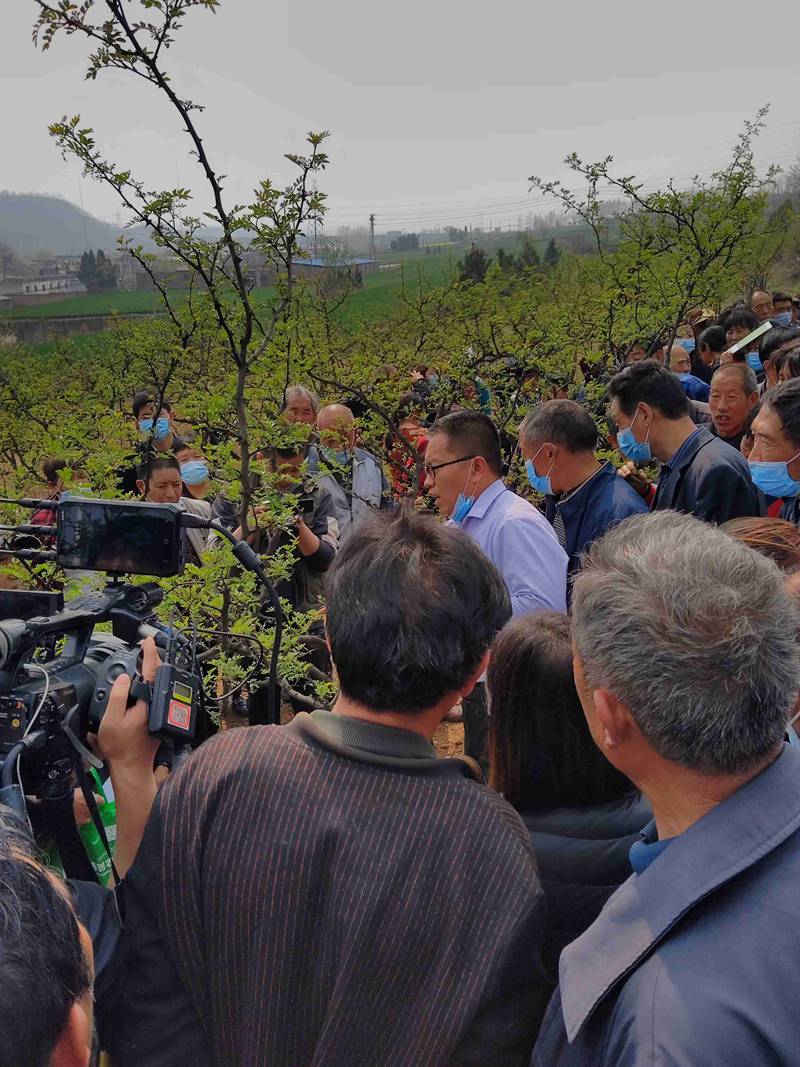 我公司（sī）參加澠池縣花（huā）椒春季管理與病蟲害防治技術培訓會(圖（tú）2)