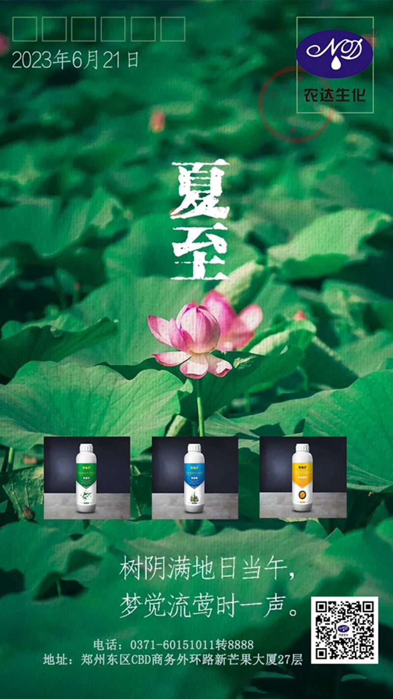 今日（rì）夏至(圖1)