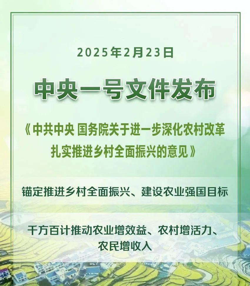 2025年中央一號文件(全文)(圖1) 2025年中央一號文(wén)件(全文)(圖1)