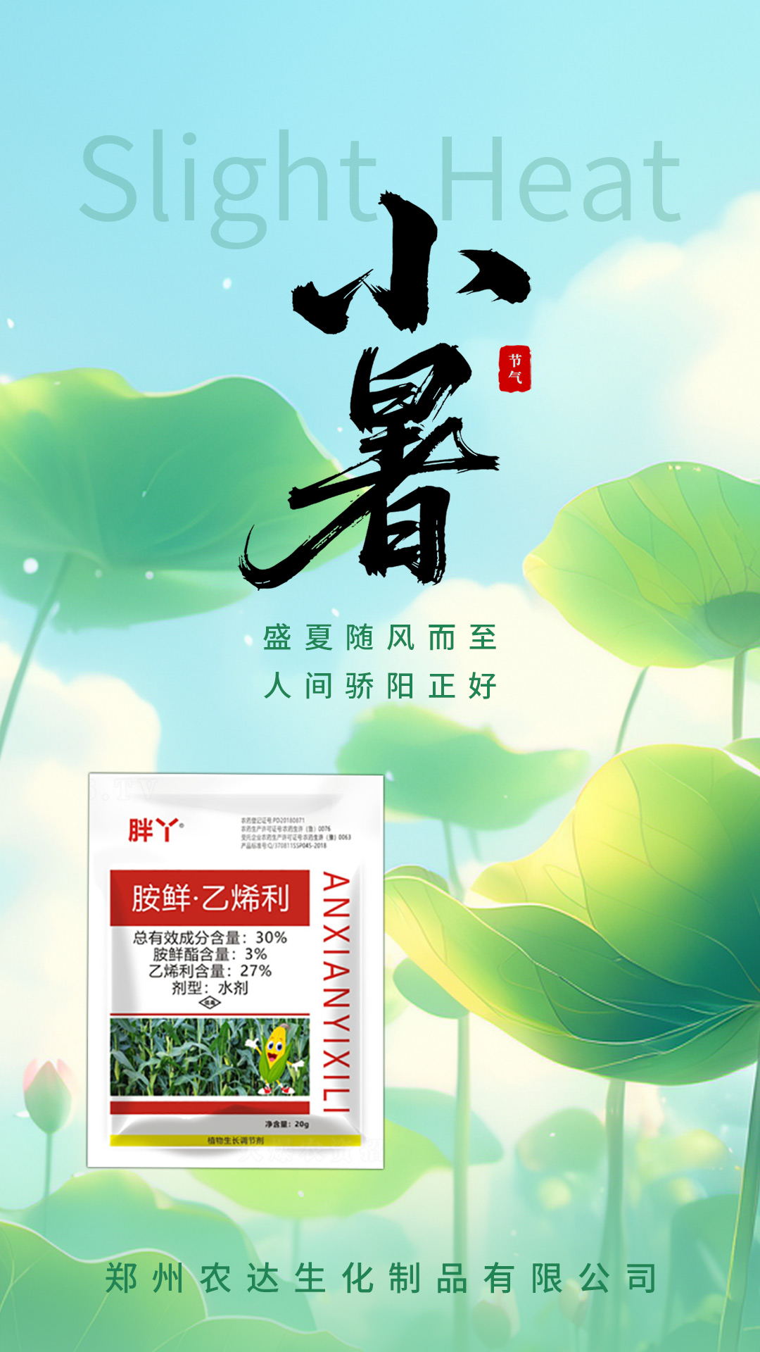 小暑(圖（tú）2)