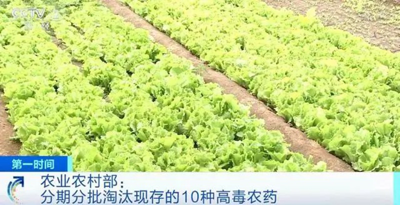農業農村部：3年內淘汰這10種高毒農藥， 重點（diǎn）治理豇豆、韭菜、芹菜（cài）農殘超標(圖1)